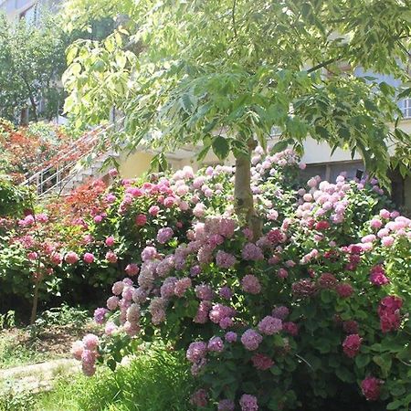 Thermal Orkide Pansiyon Yalova  Luaran gambar