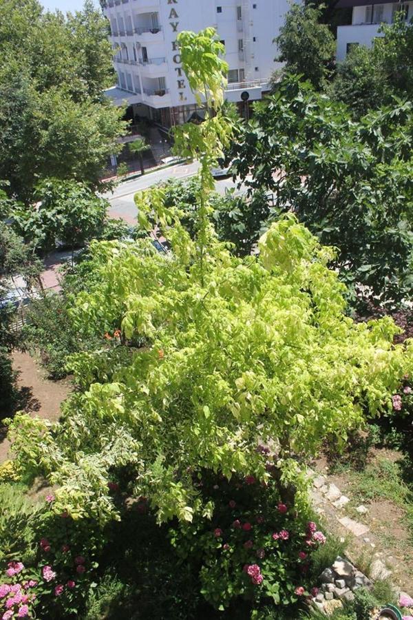 Thermal Orkide Pansiyon Yalova  Luaran gambar